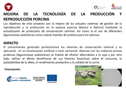 MEJORA DE LA TECNOLOGÍA DE LA PRODUCCIÓN Y REPRODUCCIÓN PORCINA - TECNIPORC